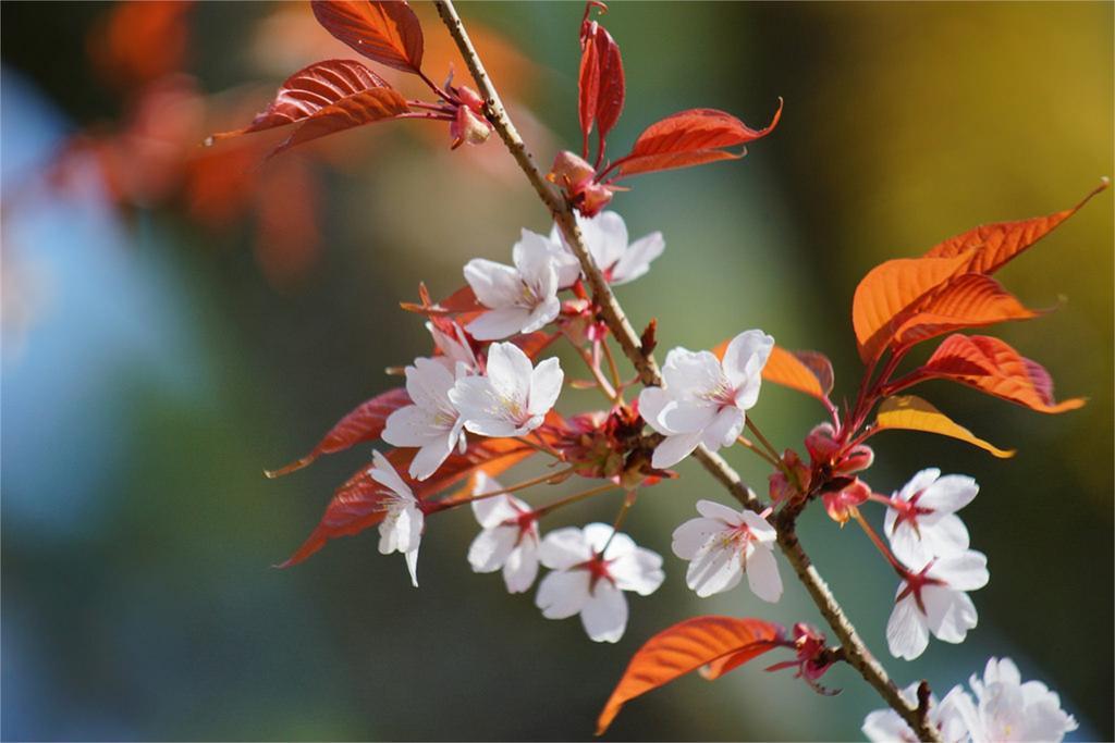 Вилла Gion Fuka Киото Экстерьер фото
